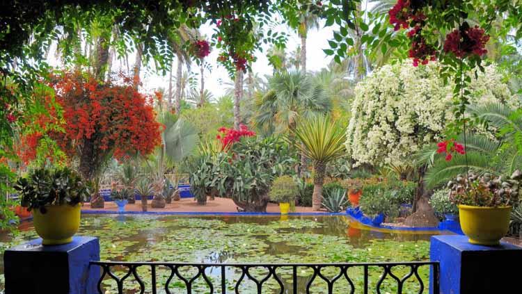 Morroccon Garden hp 1