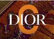 DIOR-I for India